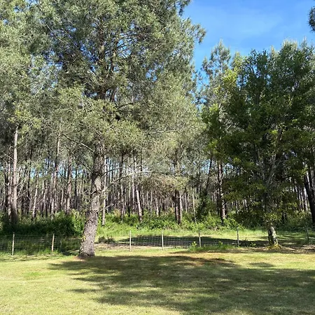 Maison Avec Jacuzzi, Proche De La * Lévignacq