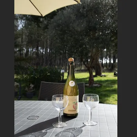 Maison Avec Jacuzzi, Proche De La Nyaraló *