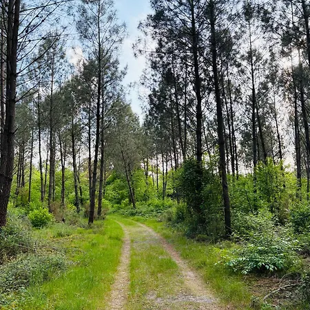 Maison Avec Jacuzzi, Proche De La