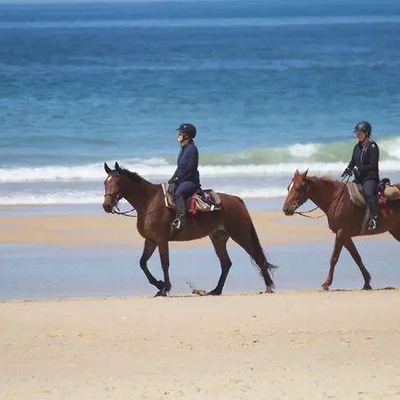Maison Avec Jacuzzi, Proche De La Nyaraló Lévignacq
