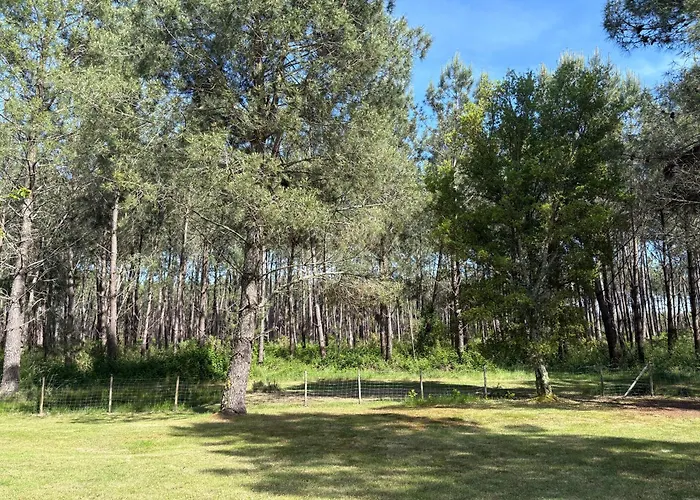 Maison Avec Jacuzzi, Proche De La * Lévignacq