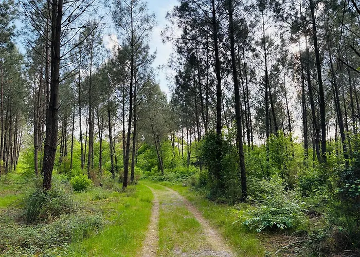 Maison Avec Jacuzzi, Proche De La