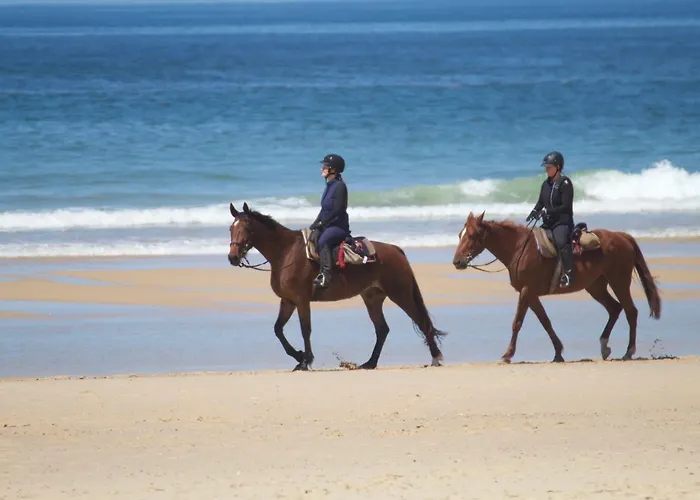 Maison Avec Jacuzzi, Proche De La Vakantiehuis Lévignacq